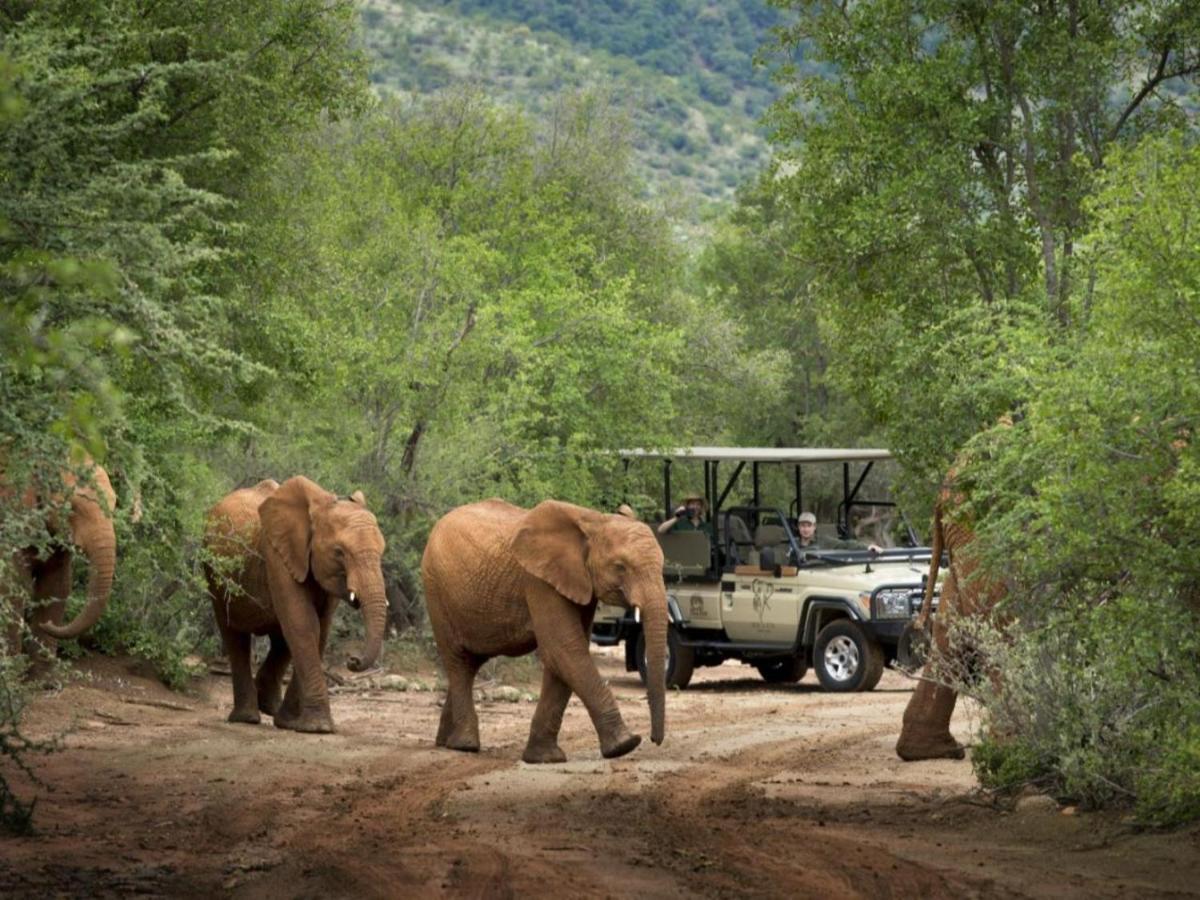 Mbazo Safari Collection Villa Pilanesberg Exteriör bild
