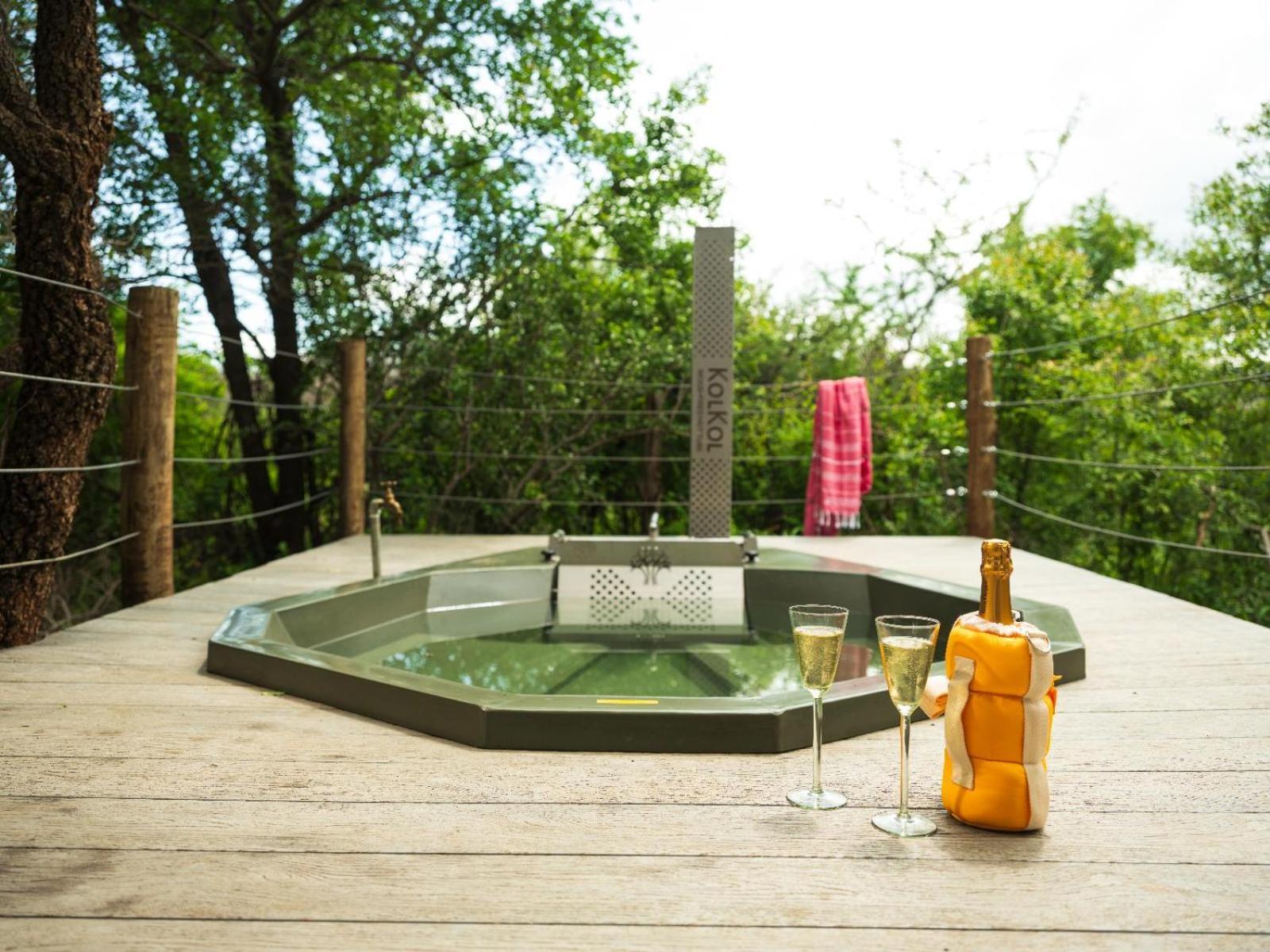 Mbazo Safari Collection Villa Pilanesberg Rum bild